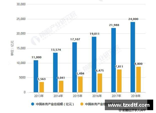 湛江体育明星代言费用调查及市场分析